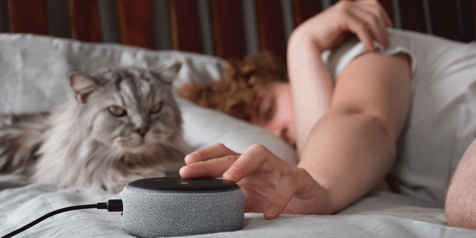 Akıllı-Asistan-Alexa