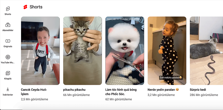 youtube-shorts-video